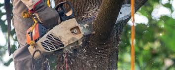 Best Soil Testing and Treatment  in Milford, NE