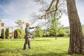 Best Lawn Watering Services  in Milford, NE